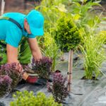 paysagiste salopette, T-shirt et casquette turquoise plantations massif